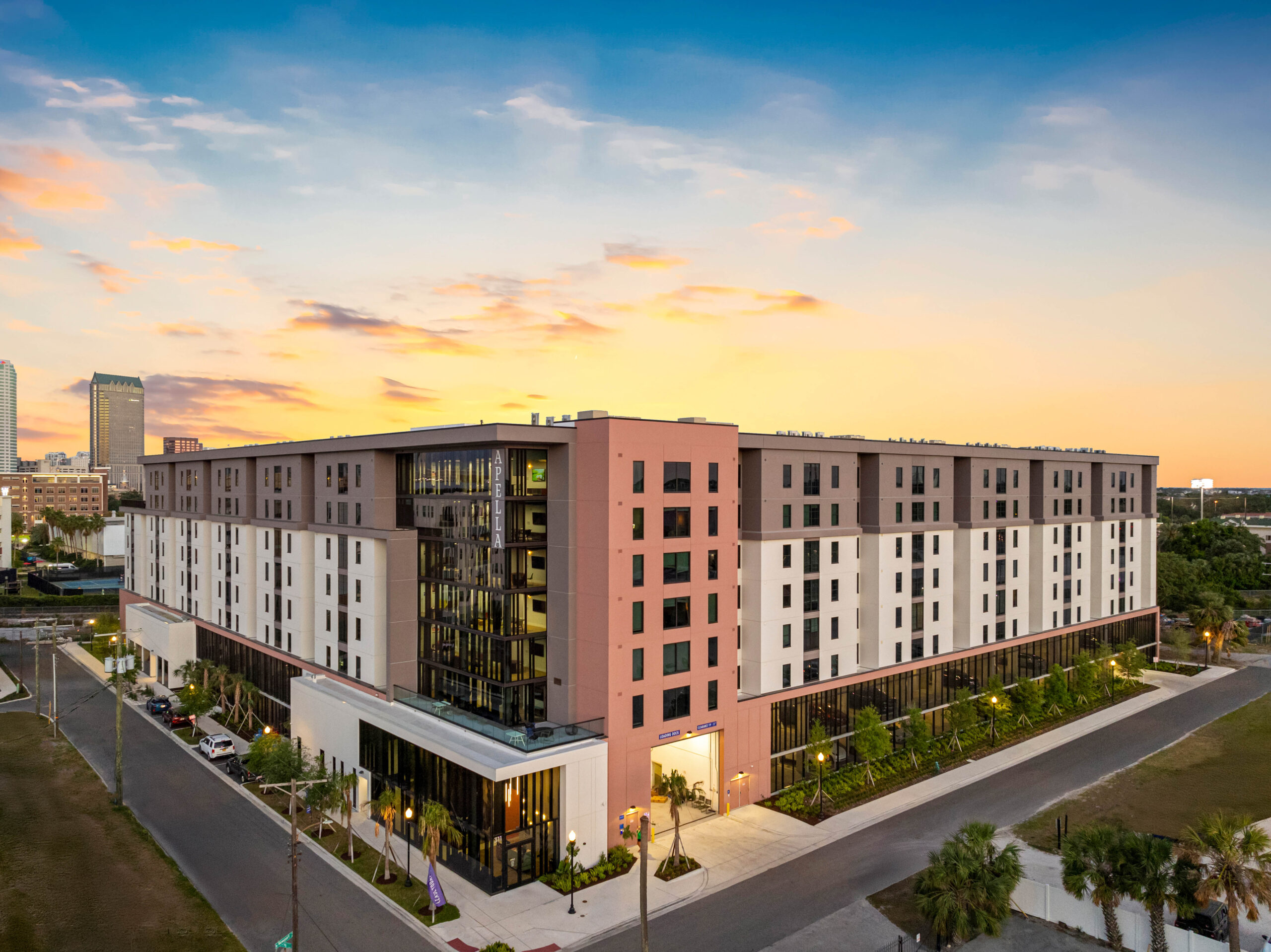 Apella on Newport 311 N Newport Ave Tampa FL 148 scaled 1