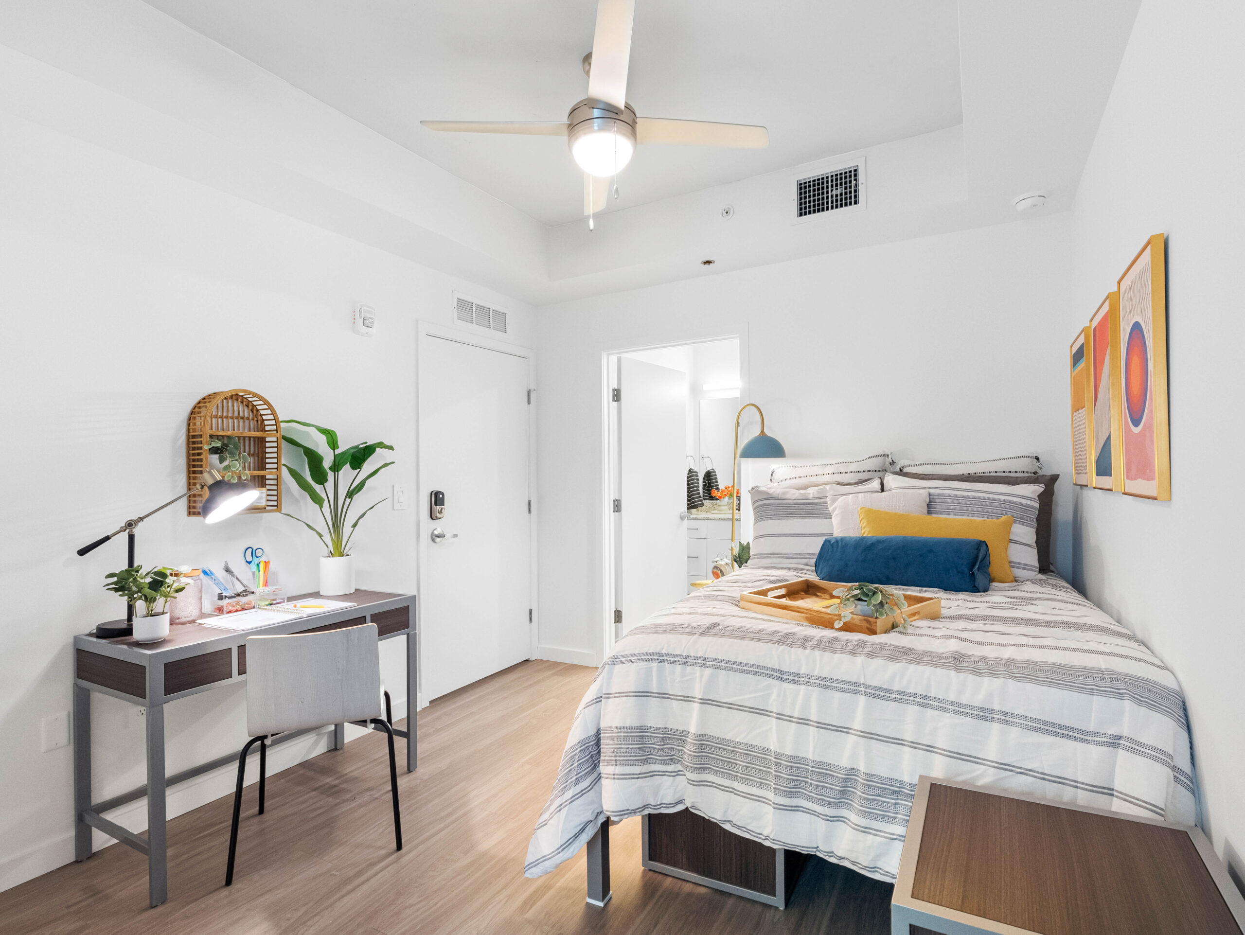 Apella on Newport 311 N Newport Ave Tampa FL 23 scaled 1