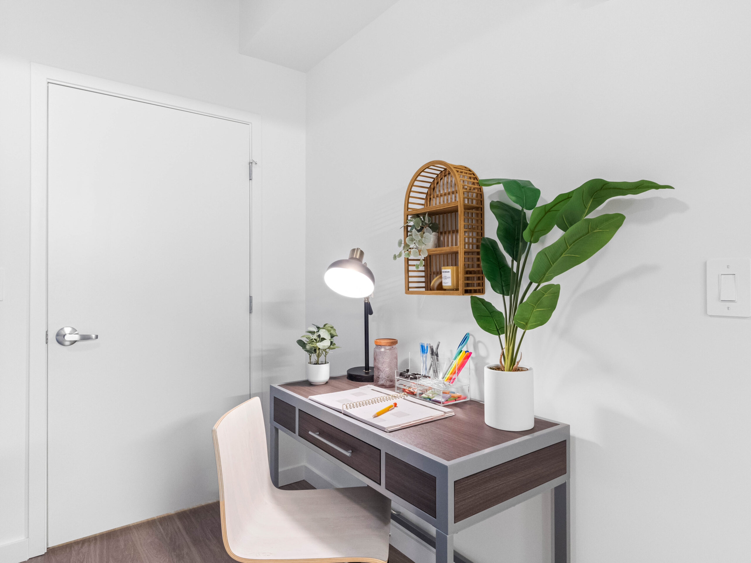 Apella on Newport 311 N Newport Ave Tampa FL 25 scaled 1