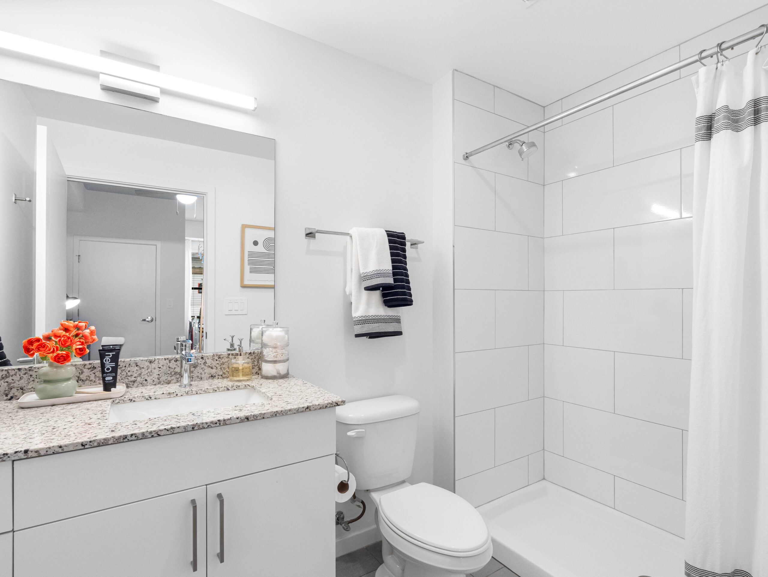 Apella on Newport 311 N Newport Ave Tampa FL 26 scaled 1