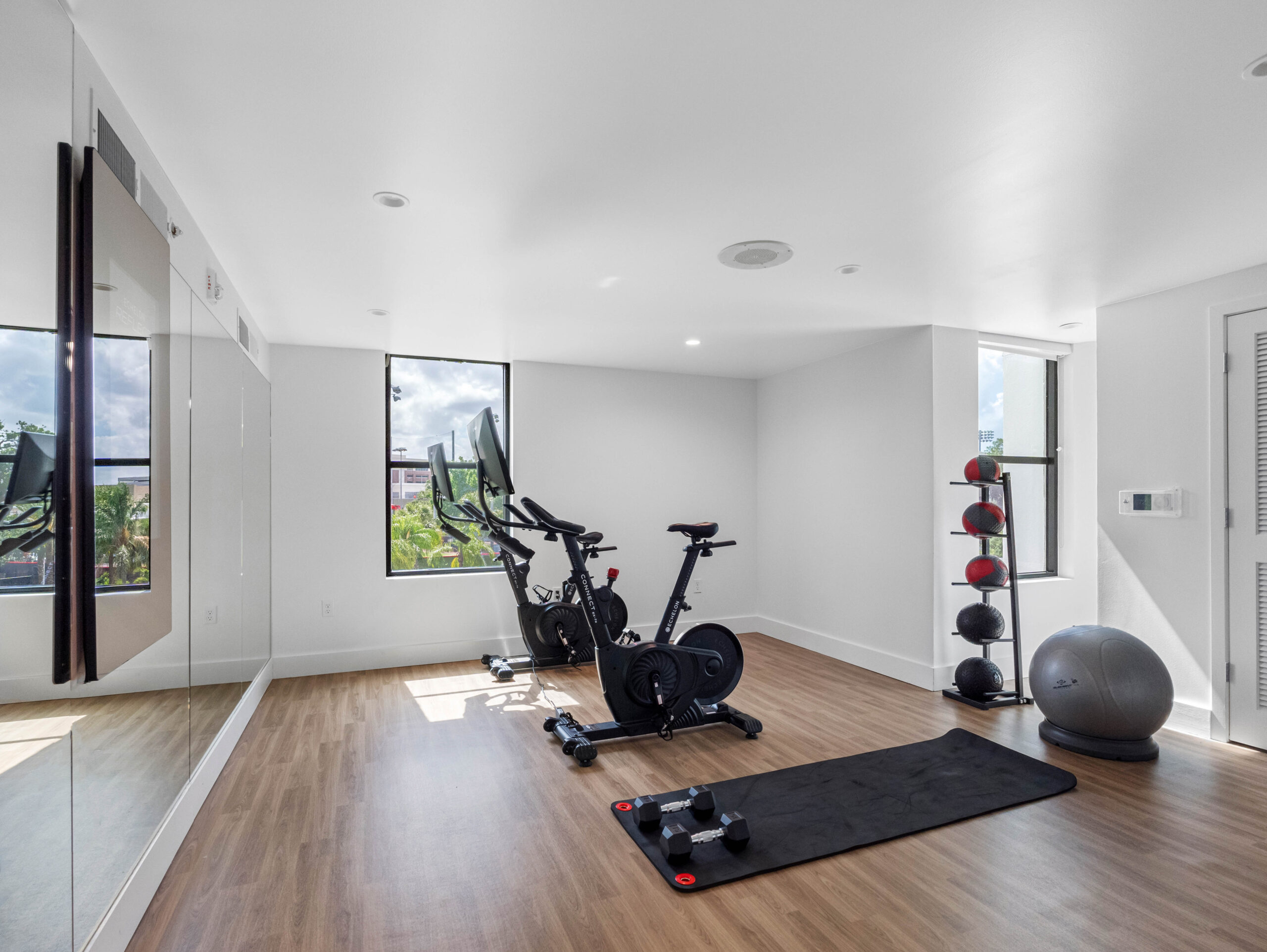 Apella on Newport 311 N Newport Ave Tampa FL 53 scaled 1