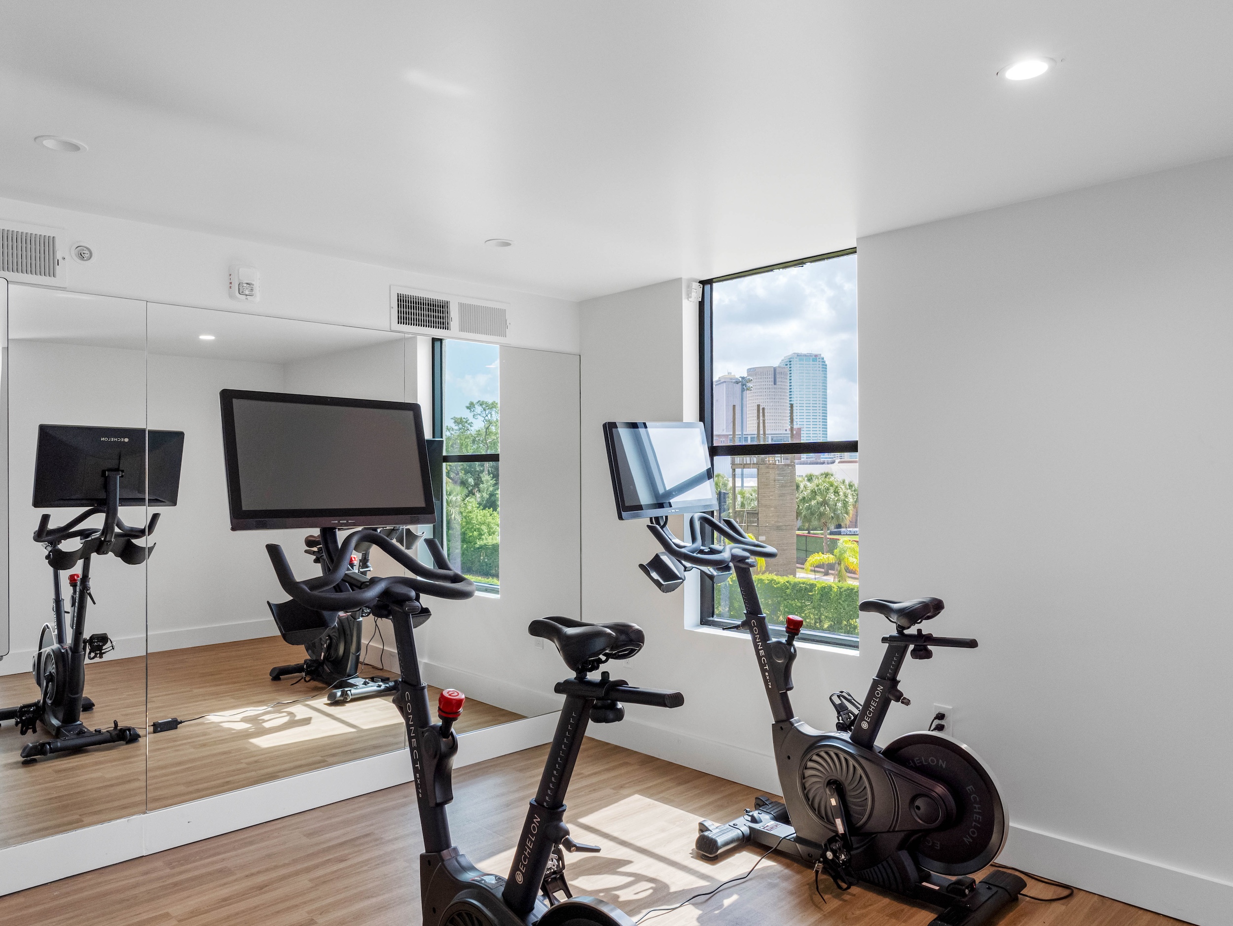 Apella on Newport 311 N Newport Ave Tampa FL 55