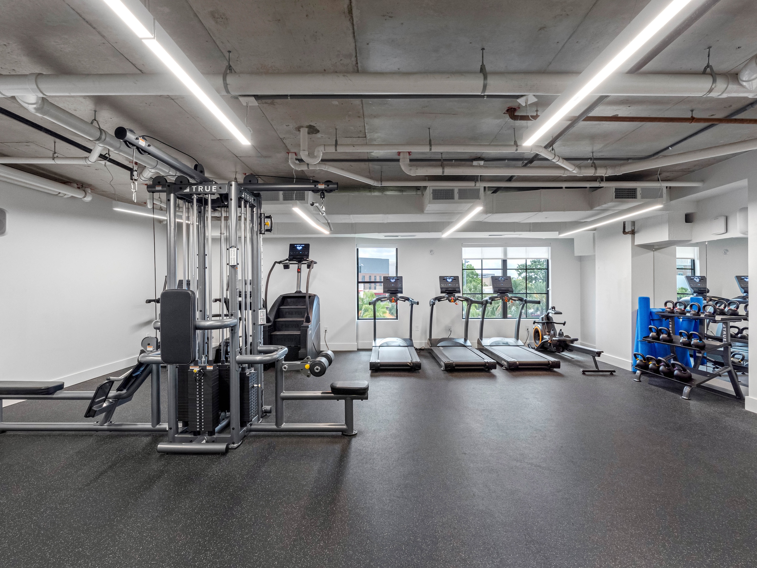 Apella on Newport 311 N Newport Ave Tampa FL 57