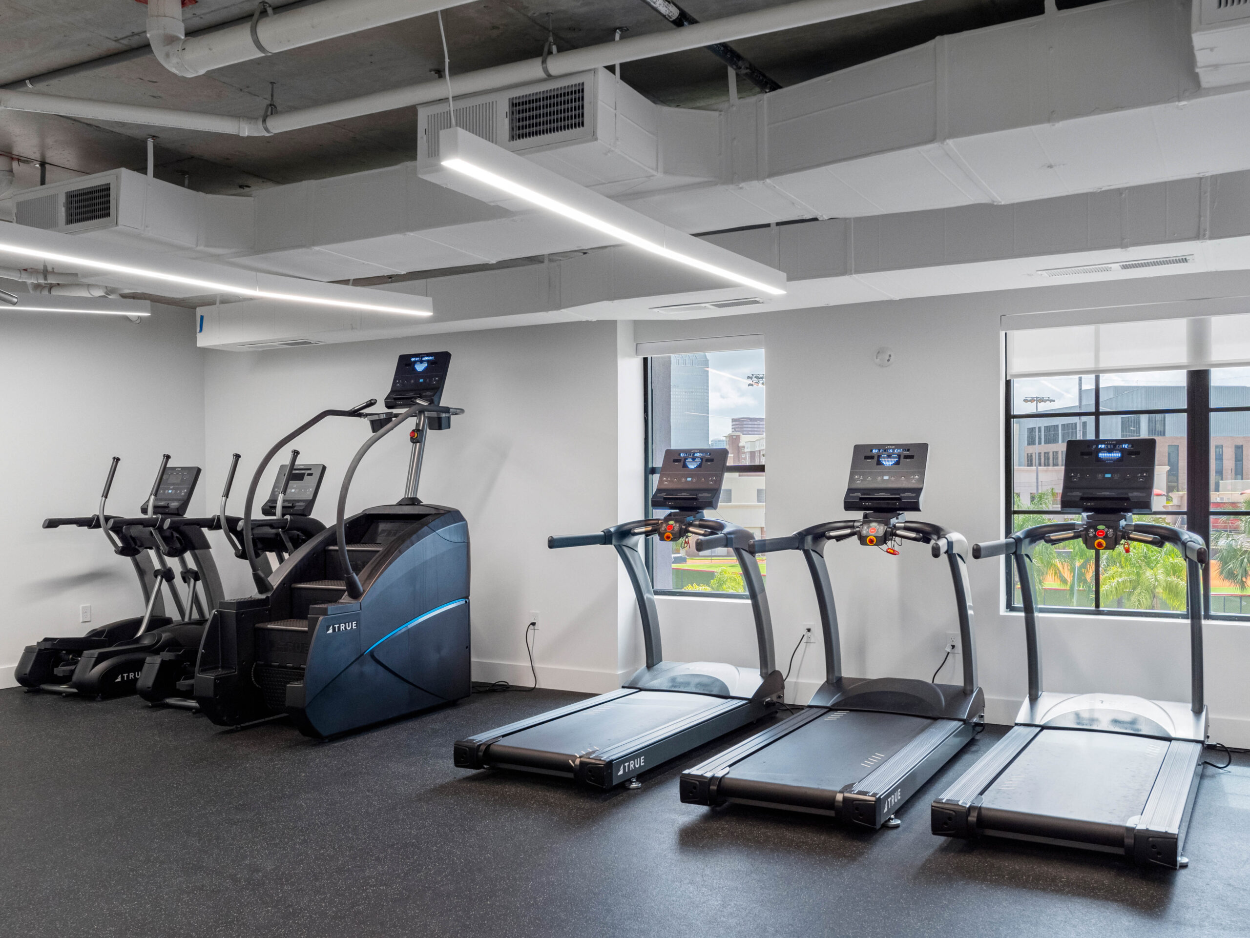 Apella on Newport 311 N Newport Ave Tampa FL 58 scaled 1