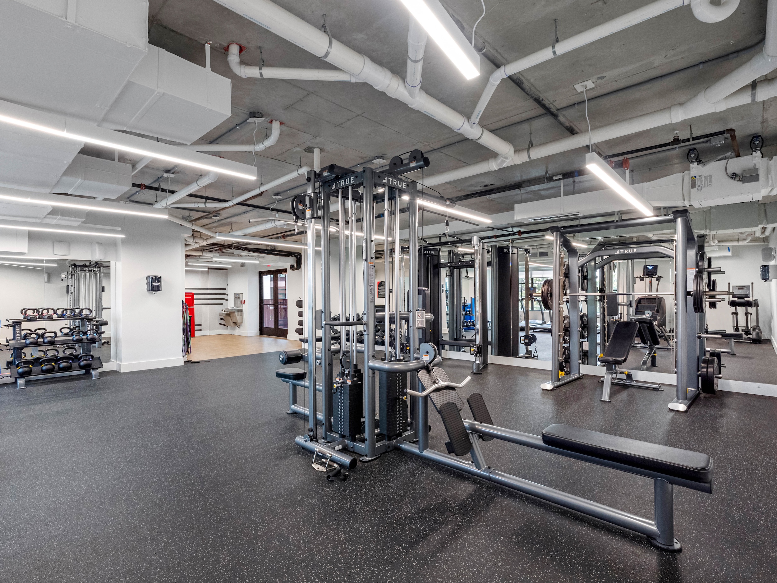 Apella on Newport 311 N Newport Ave Tampa FL 59