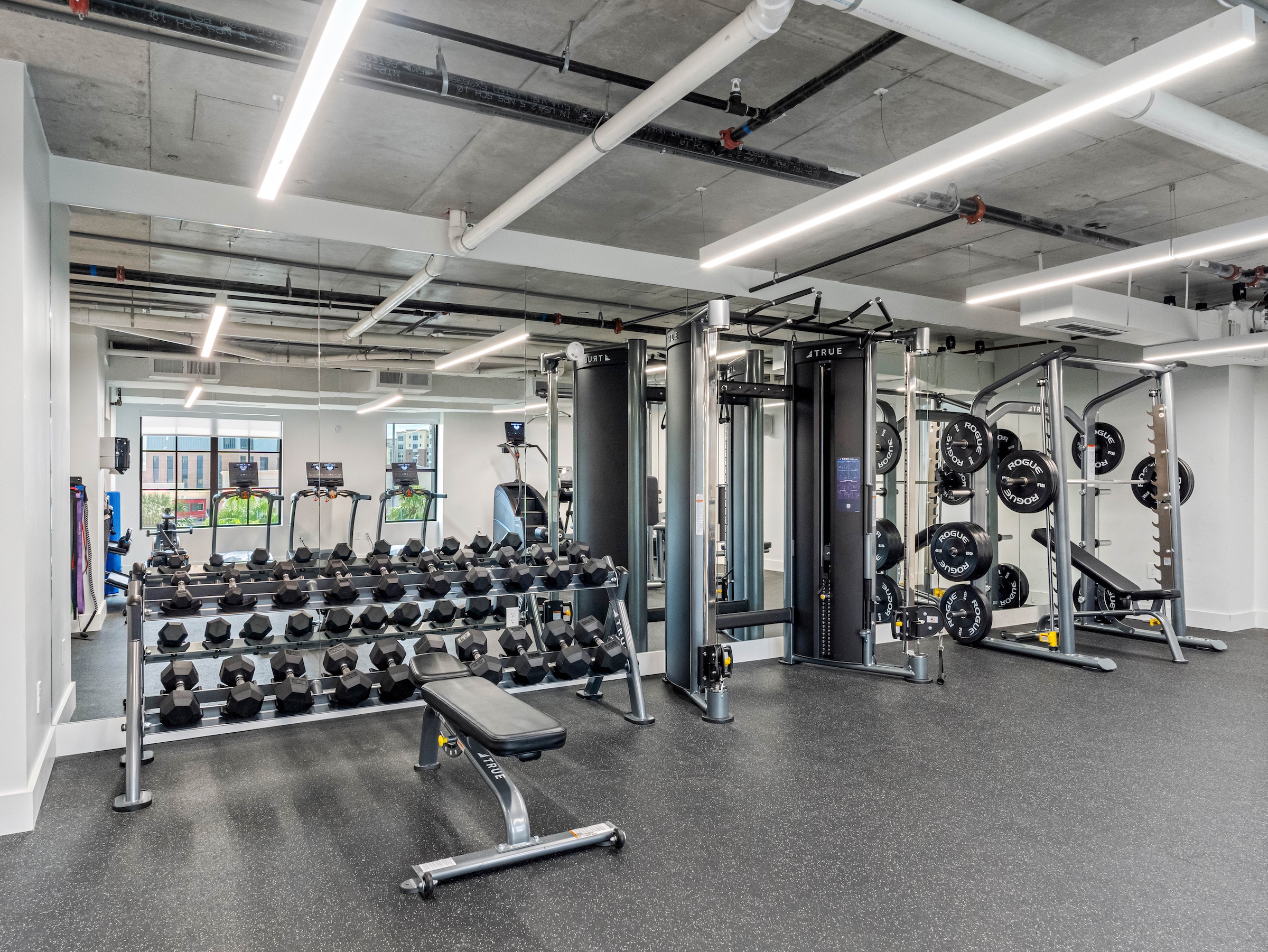 Apella on Newport 311 N Newport Ave Tampa FL 60