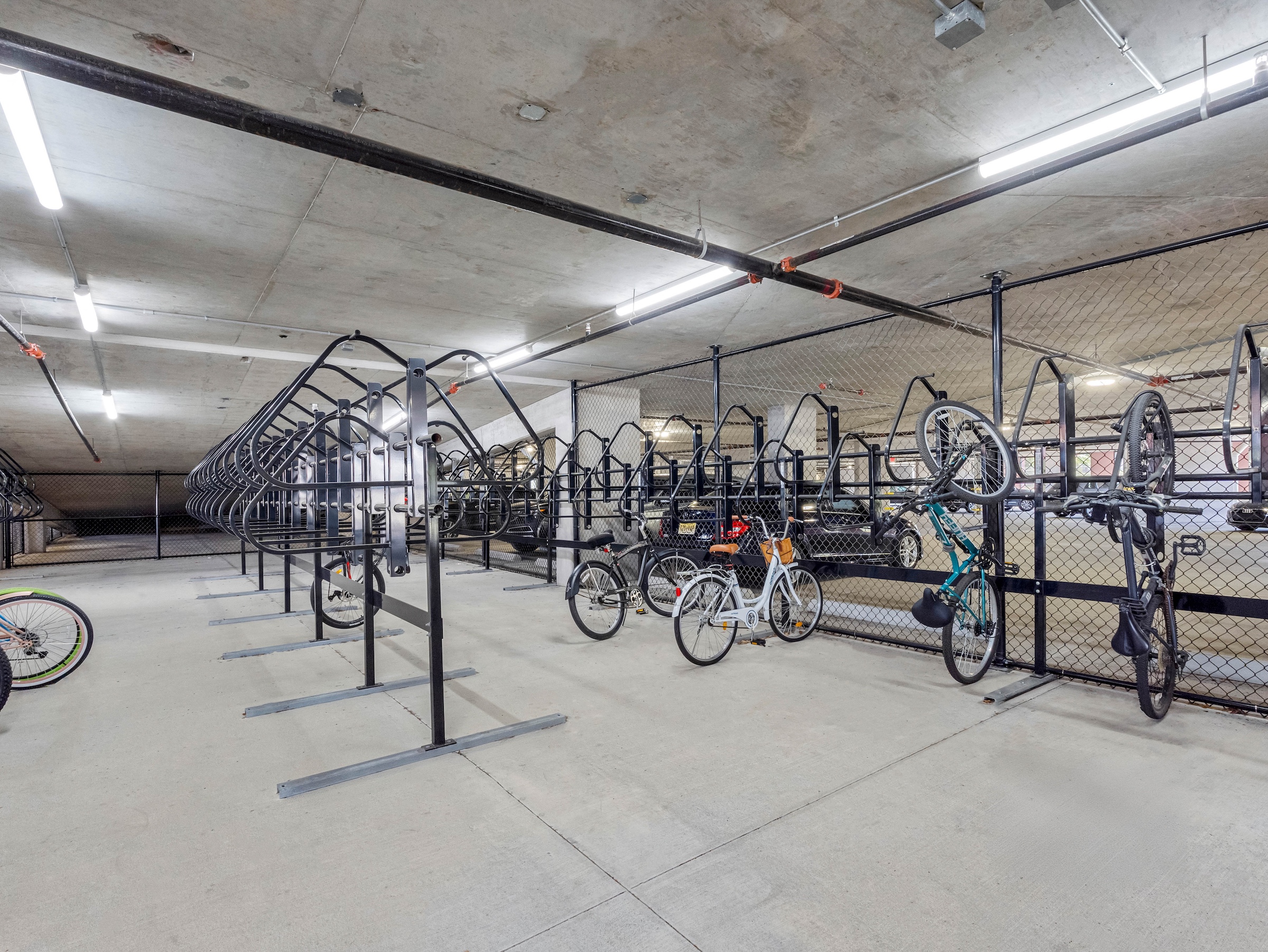 Apella on Newport 311 N Newport Ave Tampa FL 89