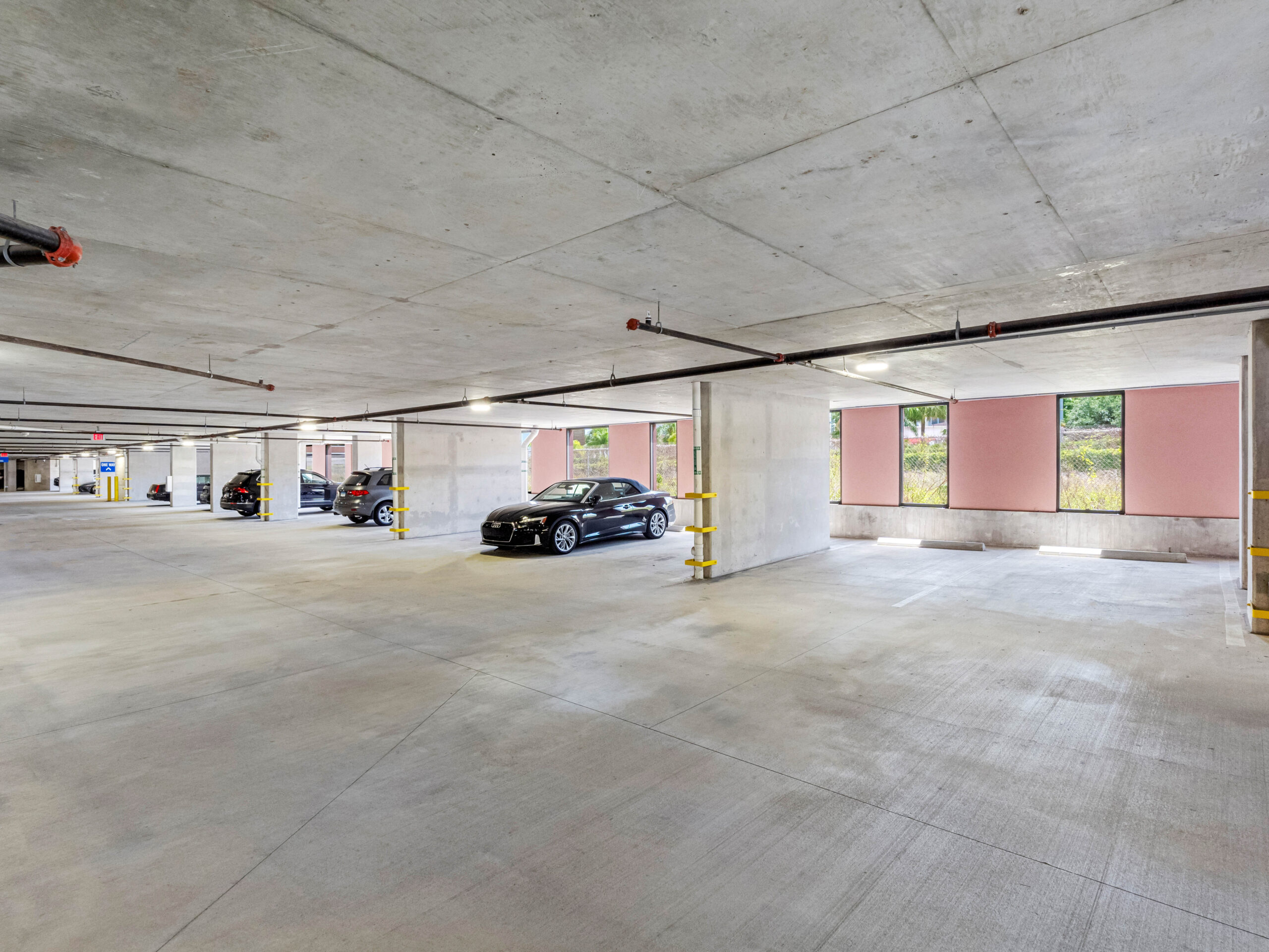 Apella on Newport 311 N Newport Ave Tampa FL 90 scaled 1