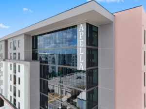 Apella on Newport 311 N Newport Ave Tampa FL 128 scaled