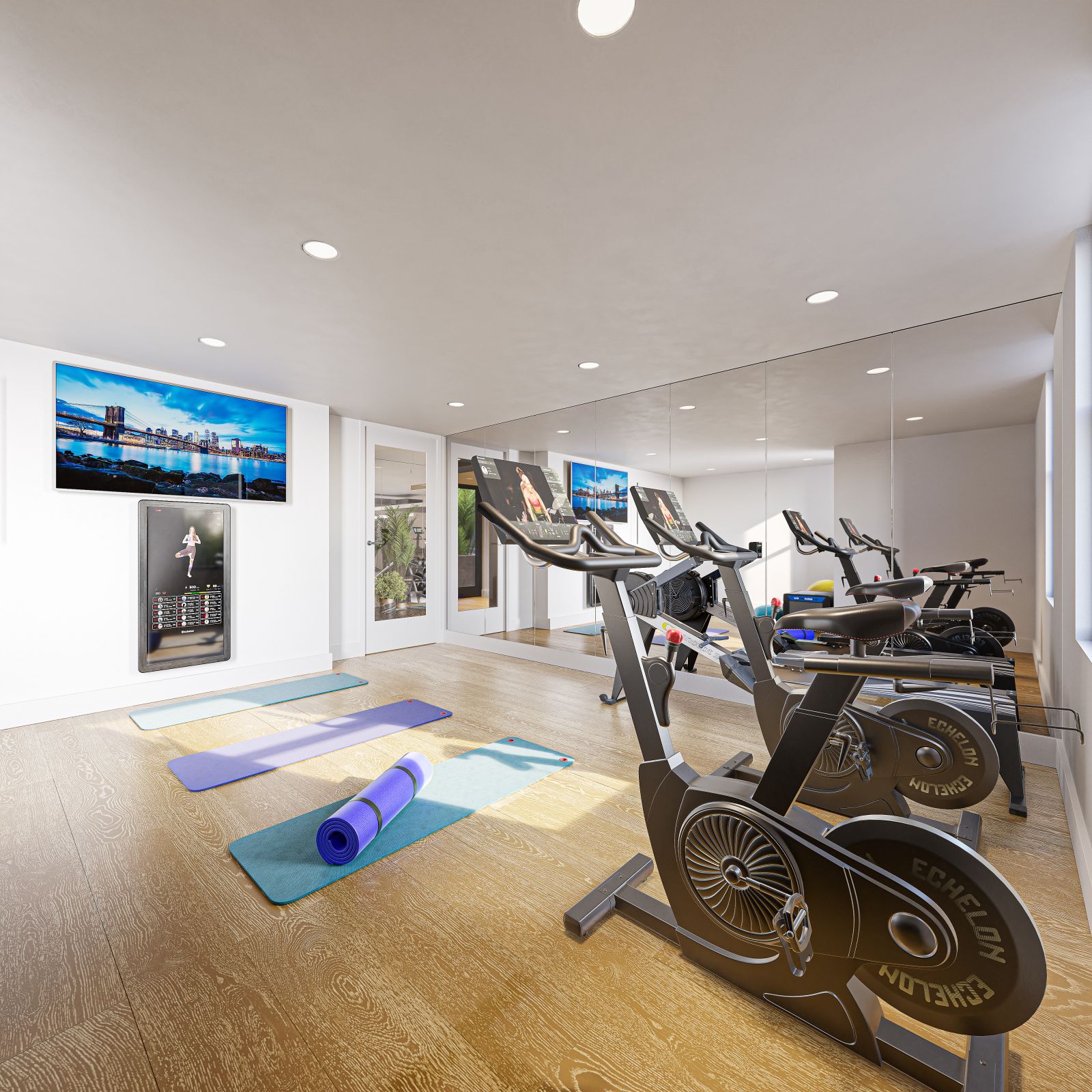 Gym bicycles and yoga mats